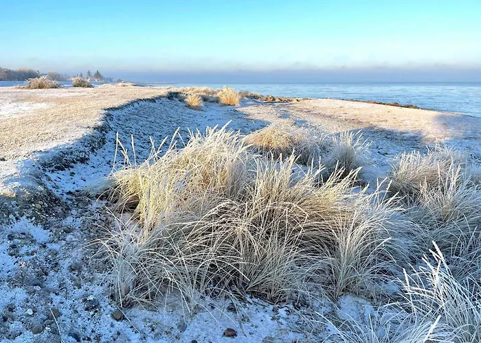 Mayflower Teichhof Fehmarn Apartment *